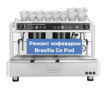 Чистка кофемашины Brasilia Go Pod от кофейных масел в Екатеринбурге